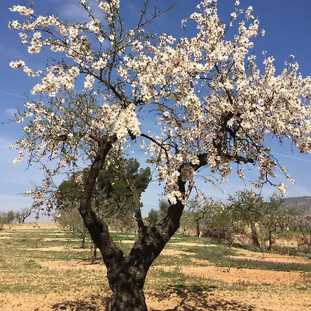 La Era De Alcantara Casa rural Cónchar